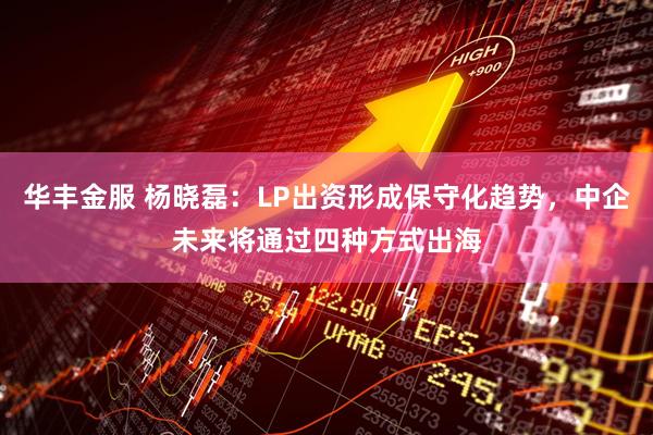 华丰金服 杨晓磊：LP出资形成保守化趋势，中企未来将通过四种方式出海