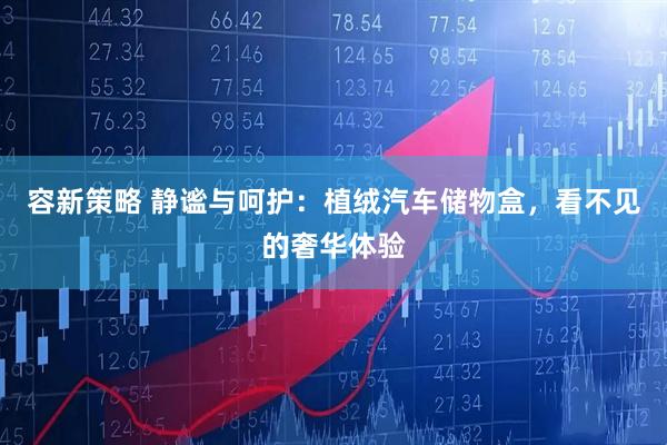 容新策略 静谧与呵护：植绒汽车储物盒，看不见的奢华体验