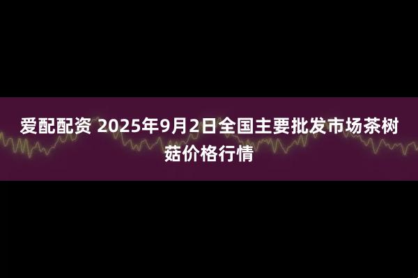 爱配配资 2025年9月2日全国主要批发市场茶树菇价格行情