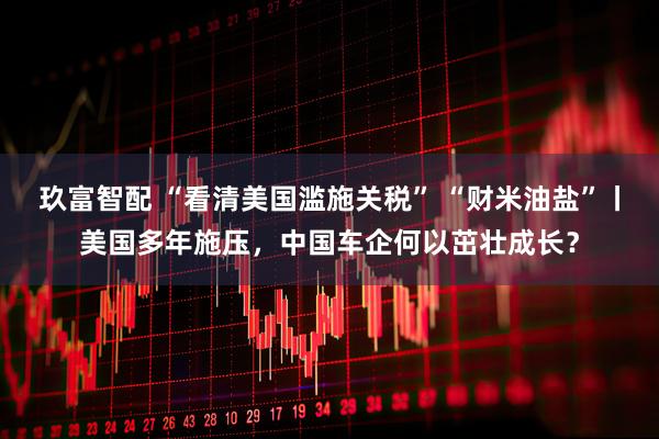 玖富智配 “看清美国滥施关税” “财米油盐”丨美国多年施压，中国车企何以茁壮成长？